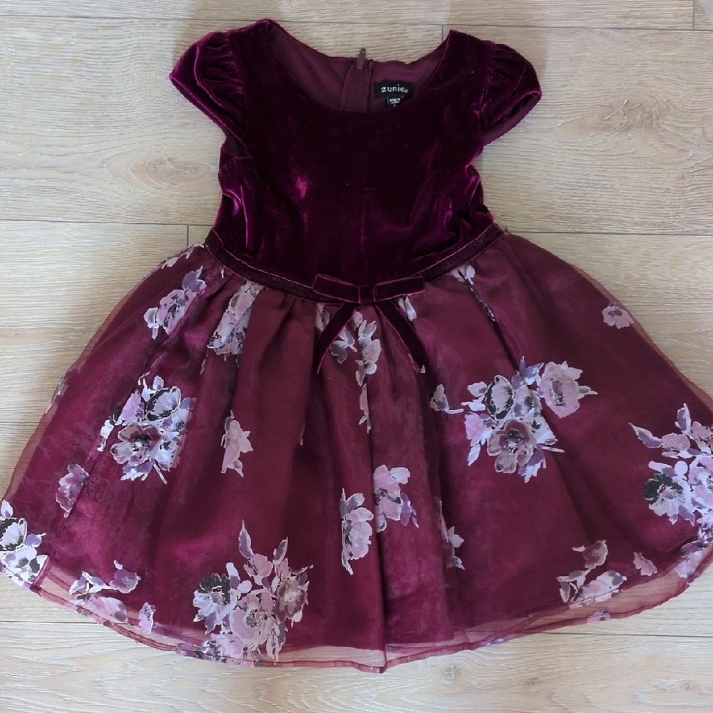 Velvet Floral Dress in Burgundy and Pink